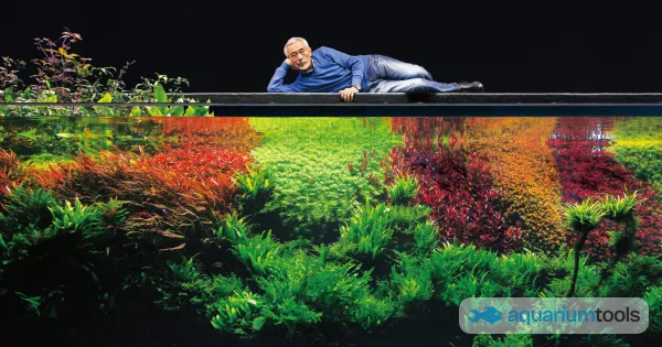 Takashi Amano: the father of modern aquascaping