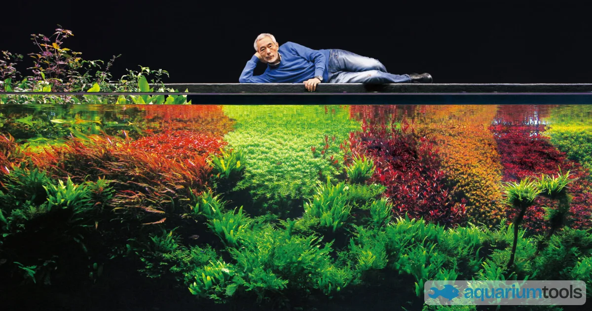 Takashi Amano: the father of modern aquascaping